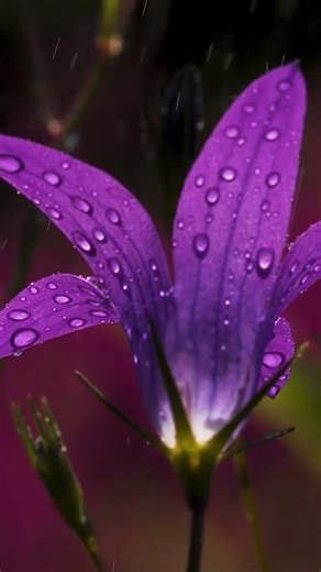 Live for Yourself or Be Ruled by Others | Machiavelli’s Warning