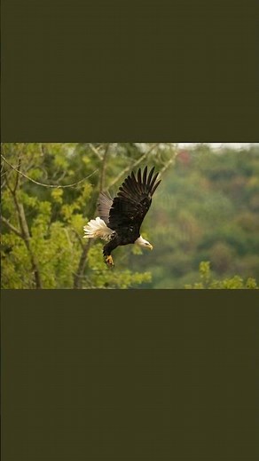 Men At Work Down Under Lyrics6