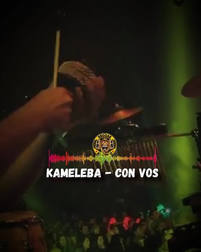 Reggae Boss on Reels