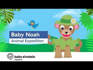 Baby Einstein Baby Noah 2004 DVD Menu