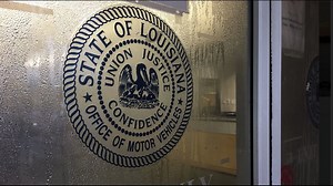 Drivers with lapsed insurance fines can now check if they still owe fines after recent law change