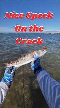 Speckled Trout on the Redfish Crack #flytying #flyfishing