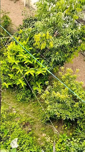 “Aesthetic Vlog Moments ✨ | Must Watch | #shorts@INFINTE VLOG