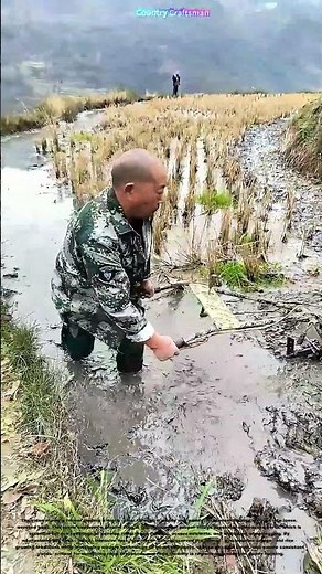 Breaking Ground: How Micro - Tillers Simplify Rice Paddy Prep