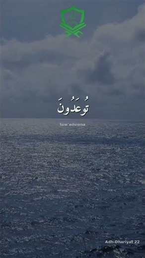 Quran Adh-Dhariyat [51:20-23] | Signs All Around: Will You See?