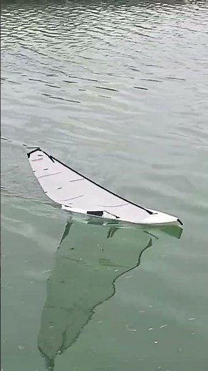 voilier rc dragon flite 95 g3