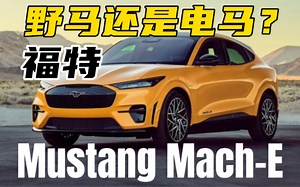 野马来电了！福特Mustang Mach-E，一决model y，北美内战！
