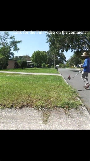 2.5K views · 53 reactions | I Travelled 1200 Miles to help this Community. The neighbors Couldn't be any Happier #overgrownyard #LawnCare #reelschallengereelschallenge #viralfacebookreels | MrCris | Facebook