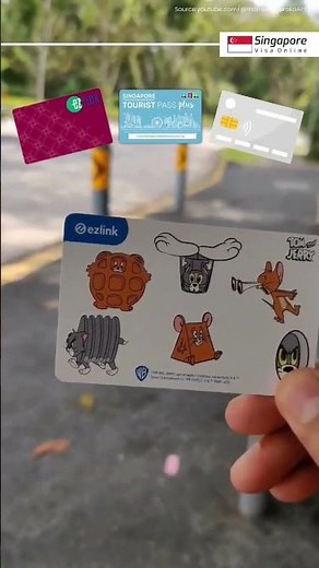 Guide to Taking a Bus in Singapore