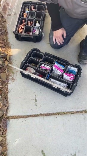 Why THIS Tree is DYING DIY Irrigation Fix!