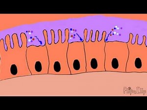 Mechanism of cholera toxin