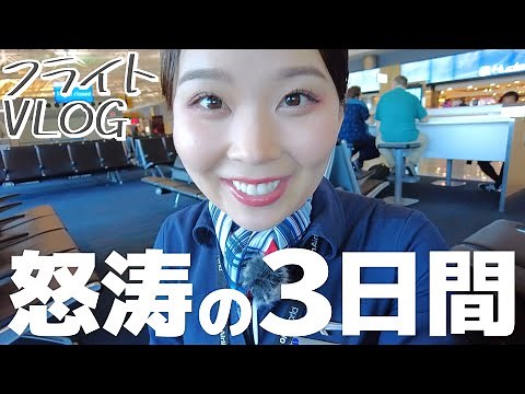 【客室乗務員】アメリカ国内をまわる！ガッツリ働く乗務日♡【前編】