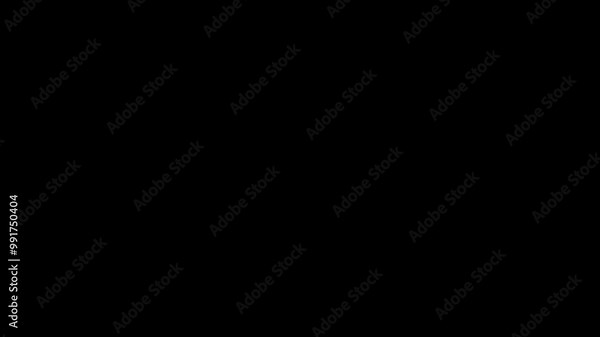 Hand-Drawn Arrow Animation with Alpha Channel, Dynamic Arrow Effect for Presentations, Explainer Videos, and Visual Guides with Transparent Background