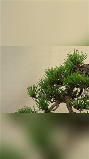 Steampunk Bonsai Vintage Clock Meets Nature's Art