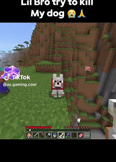 Funny Minecraft Dog Moments You Can't Miss!