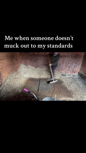 #horse #muckingout #relatable #horsegirl #fyp #foryougirls #equestrian