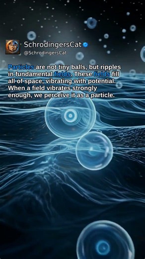 The Truth About Particles: It's All Fields #Shorts