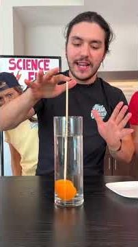Who Can Make the Mandarin Sink 🍊 Part 1