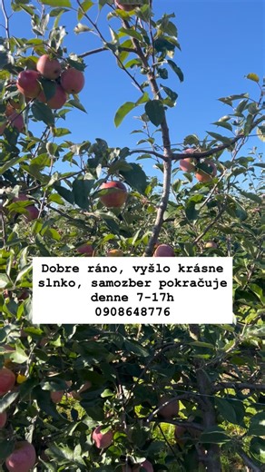 Slniečko sa usmieva a tešíme sa obrovskému záujmu! Ďakujeme! :) všetky info 0908648776 | Bioplant