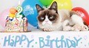 Grumpy Cat's Purr . . . fect 2nd Birthday!
