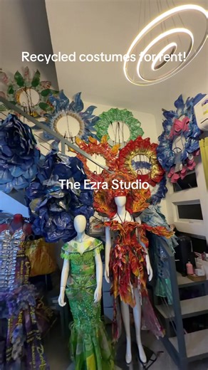 recycled costumes for rent