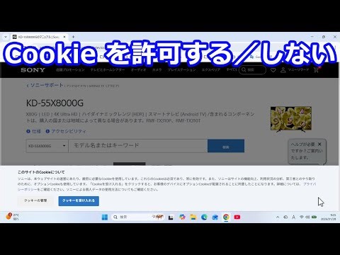 Allow/disallow cookies