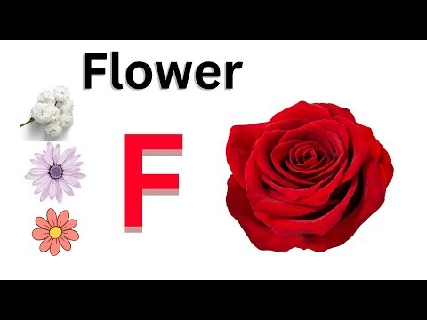 Learn to Draw Cartoon Flowers for Kids | Fun & Easy Art | RI Magic Art#arteducation #shorts s