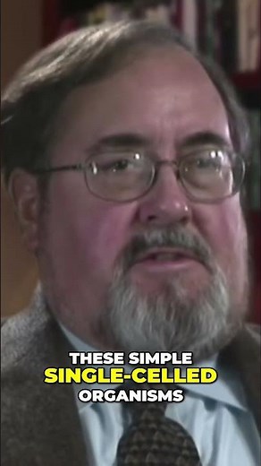 Life's Timeline: A 24-Hour Earth Evolution!