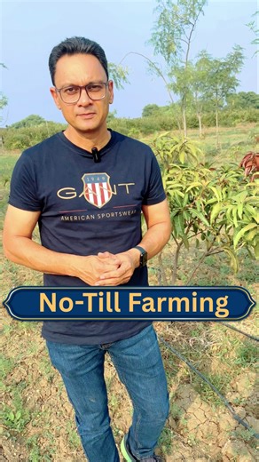 No-Till Farming | Red Diamond Guava