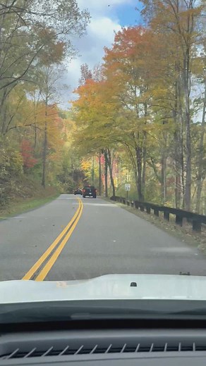 Take a scenic drive through Gatlinburg with some peak fall foliage! | WBIR Channel 10
