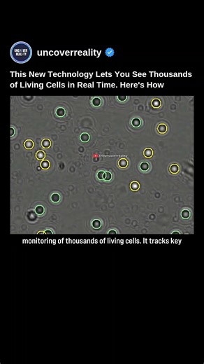 This New Technology Let You See Thousands Of Living Cells In Real Time. Here's How #tech #shorts