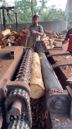 Uppalike peeling machine powers 👌🪵|#shorts #woodwork #sawblade