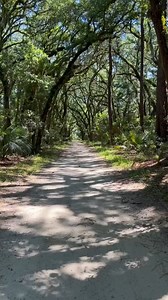 Turn around and visit us in the Lowcountry 🌴 #LoveBlufftonSC Explore beautiful Bluffton this week: https://bit.ly/3dZm5ur 📷: laylayarjani (IG) | Explore Bluffton