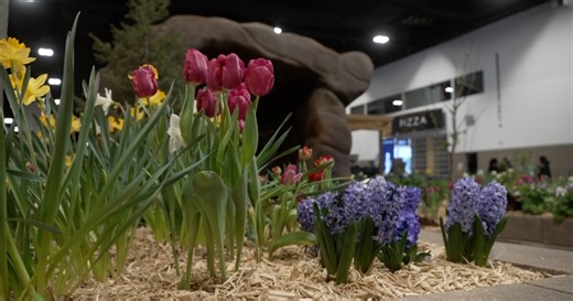 7 best things to do in Colorado this weekend: Feb. 20-22, 2026