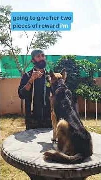 Dog Training short lesson_Fixed and variable Reinforcement #petshub #dogtraining #dogsofyoutube