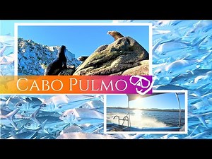 Snorkeling Diving Cabo Pulmo, Mexico ! Cabo Pulmo National Park
