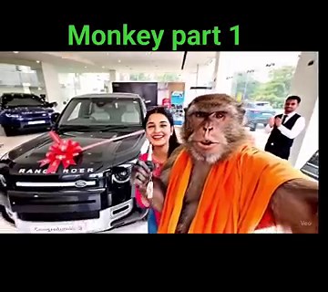 Monkey 🐒 Vlog with Cute Girl 👧 | Jungle Adventure Begins! 🌿 #shorts