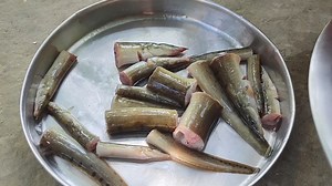 1.9K views · 15 reactions | Big bami fish catching by river New fishing technique in villageFish curry cookingeating in river #cooking #fish #new #video | Pooja Roy | Facebook