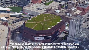 Happy #EarthDay! Get the scoop on our green roof (the first on an arena in North America!) and its positive effect on the environment. 🌱 | Target Center