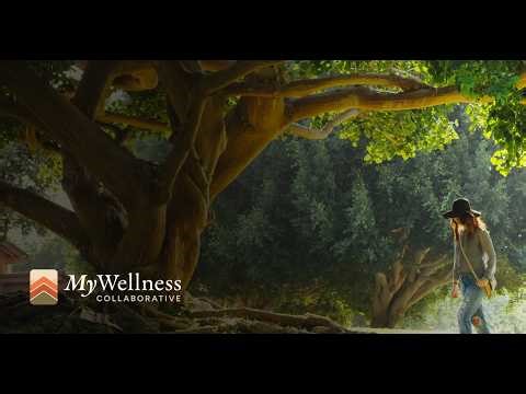 For Providers - My Wellness Collaborative