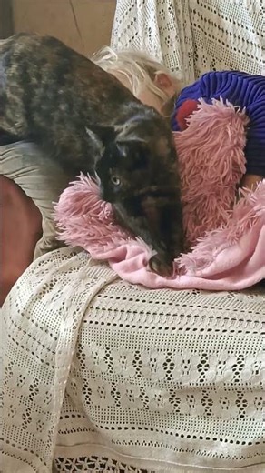 la gata ,siempre la niña se pone mala ,al pie del cañon ,apoyandola y mimamdola ,