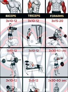 ARM WORKOUT FOR BIGGER BICEPS TRICEPS & FOREARMS 💪🔥 Build stronger arms with this complete arm workout targeting biceps triceps and forearms Use controlled reps focus on proper form and train consistently for the best muscle growth results Save this workout and try it in your next gym session ✅ Biceps ✅ Triceps ✅ Forearms ✅ Muscle Growth ✅ Strength Training #ArmWorkout #BicepsWorkout #TricepsWorkout #ForearmWorkout #gymtok