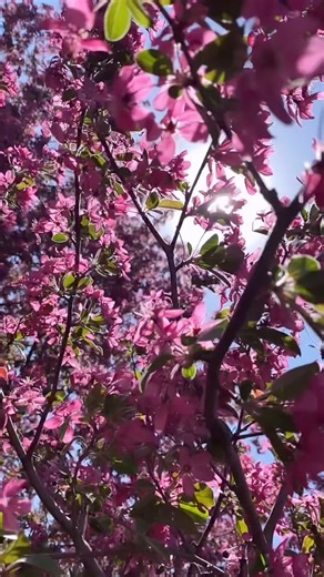 Happy 1st Day of Spring!🌸🌿 Here’s to warmer days ahead!☀️💙 | ShopHQ