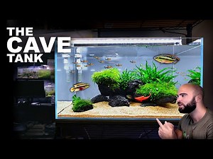 Aquascape Tutorial: CAVE AQUARIUM African Cichlid Kribensis (How To Step By Step Guide)