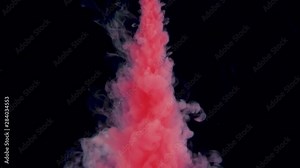 Real shot red paint drops in water. Ink swirling underwater. Cloud of ink collision isolated on black background with alpha. Close up view. 4k