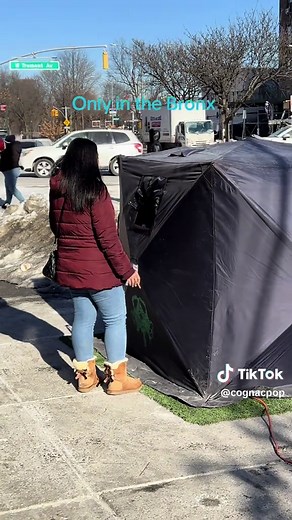 Exploring the Vibrant Bronx Culture