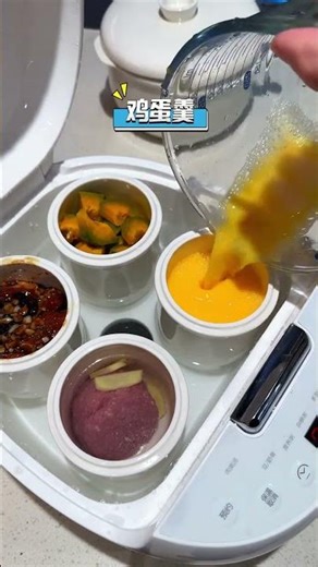 The ONLY Electric Steamer You Need? 5-Course Meal in One Pot Test & Review!