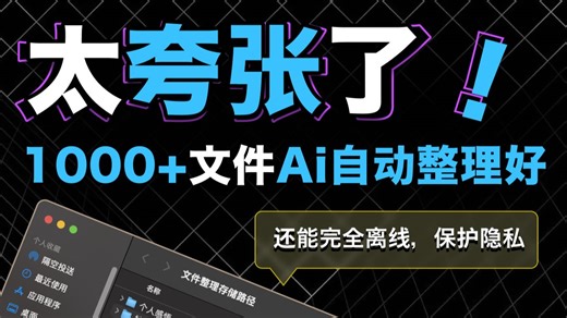 这个神器，自动整理G级杂乱文件，还能完全断网离线整理～