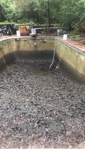 Day 3 Part 3.1 of taking back the parents back yard oasis! #WholeNewGame #fyp #cleanup #pool