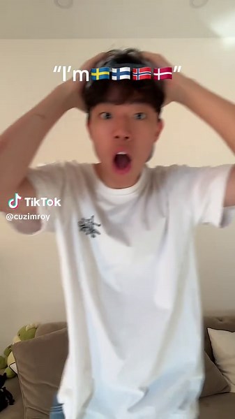 Exploring Scandinavian Identity: A Cultural Perspective